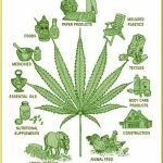 FB_IMG_1745747415067