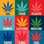 FB_IMG_1748629504136