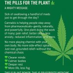 FB_IMG_1753858104416