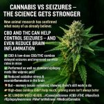 FB_IMG_1755756427787