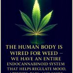 FB_IMG_1755756488562